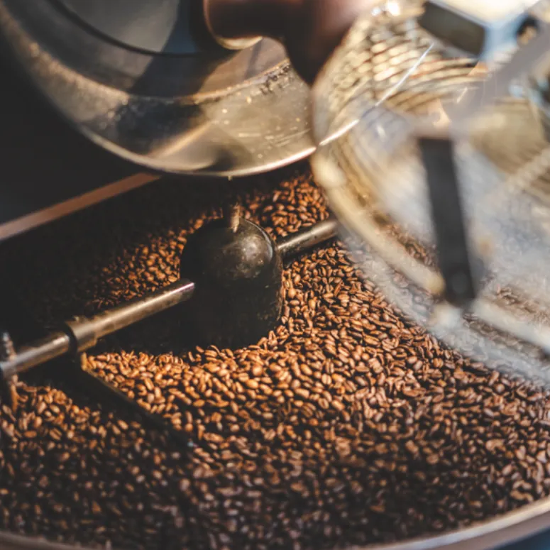 Vers gebrande koffiebonen in de koelbak van de brander