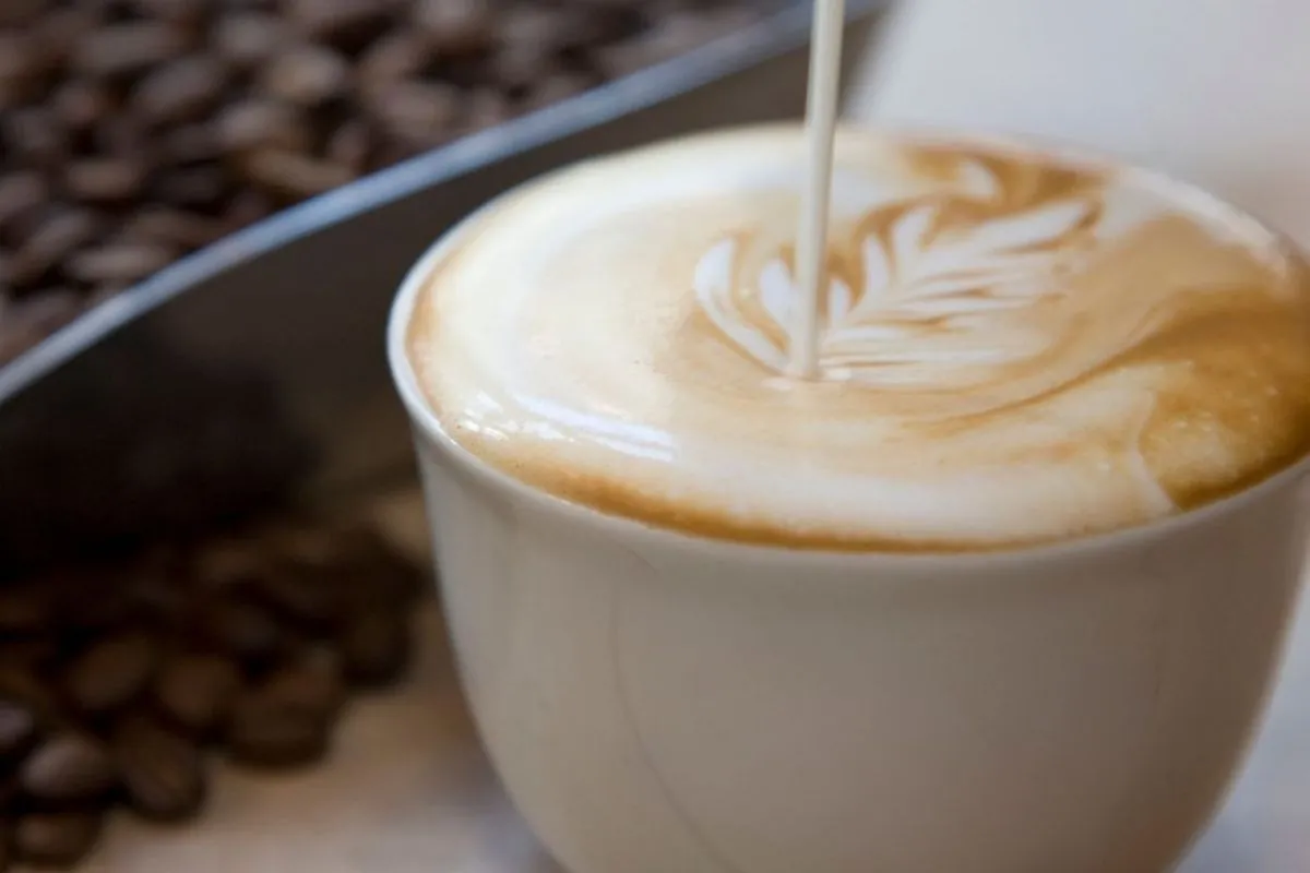 Cappuccino met latte art